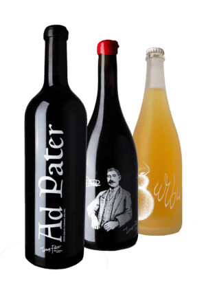 Tres botellas de vino artesanal de Torres Filoso en diferentes estilos.