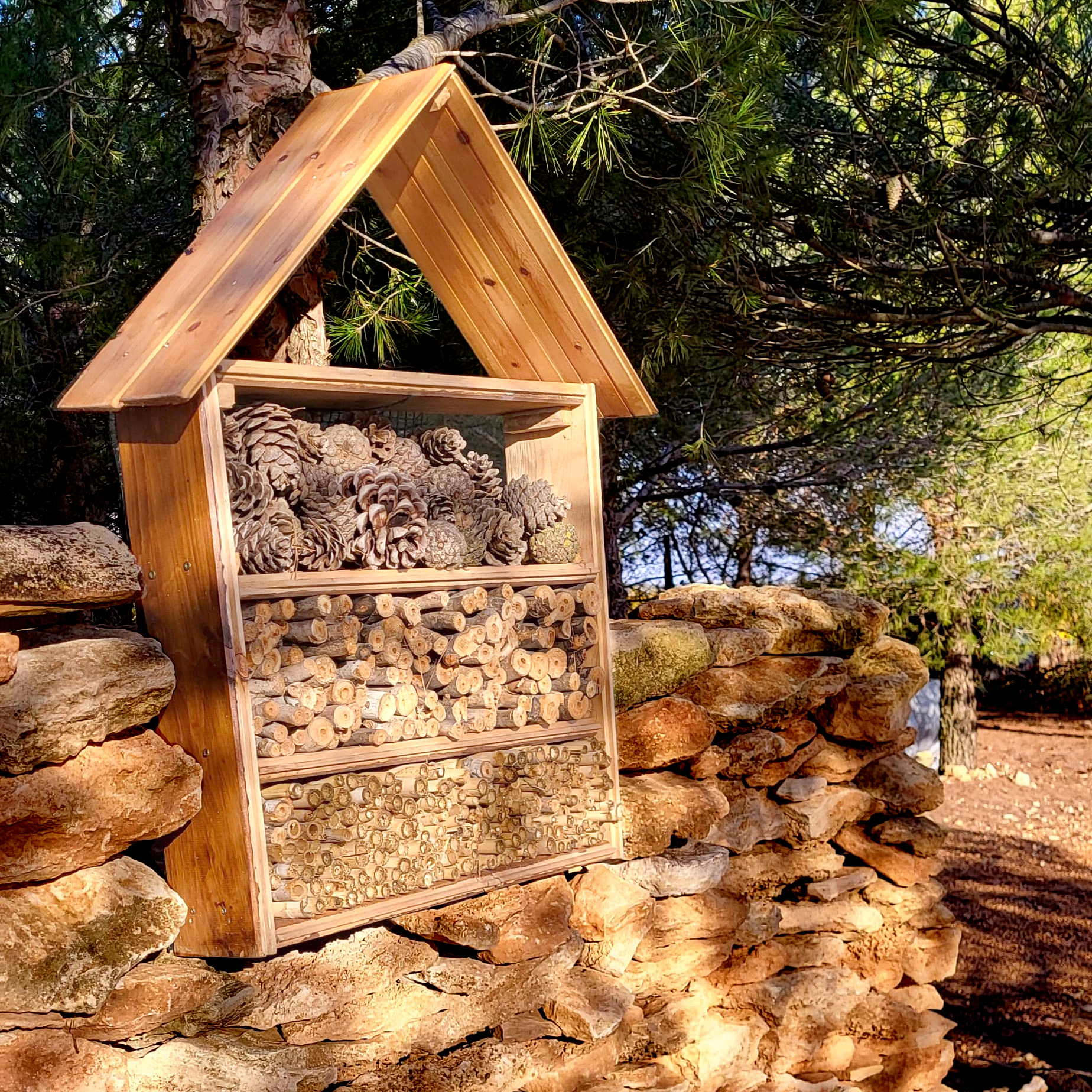 Hotel o refugio de insectos