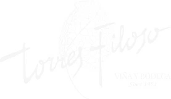 Logo torres Filoso Viña y Bodega centenaria familiar vino artesanal